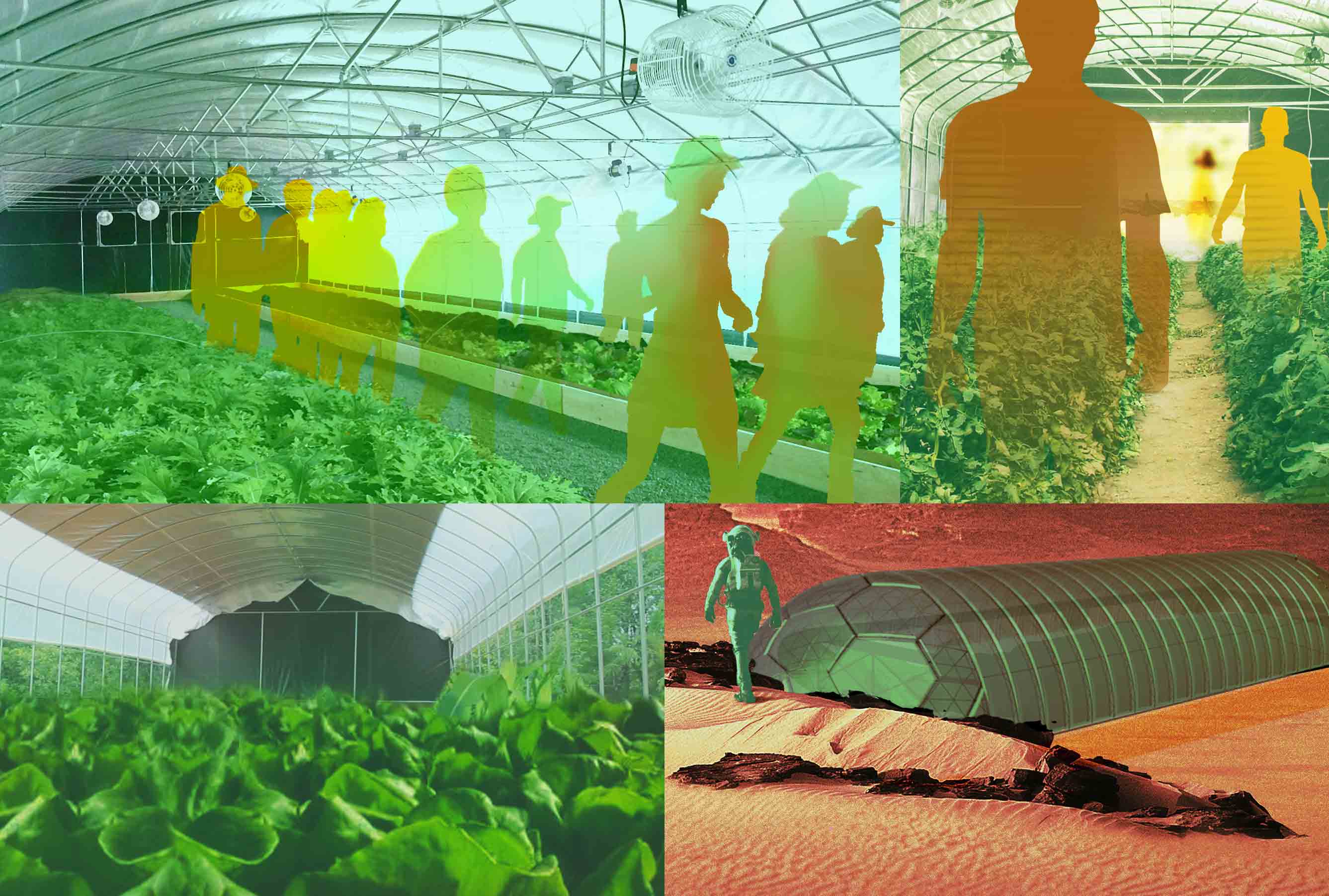 Emerald Greenhouses